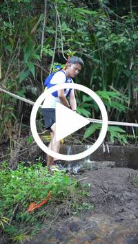 BIB:  <button type="button" onclick="openModal(27687099)" class="btn btn-primary btn-sm float-right" data-toggle="modal" data-target=".modal-high-quality">
                <i class="fa fa-download"></i> Download
                </button>